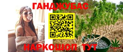 apvp Пугачёв