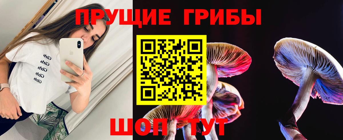 Галлюциногенные грибы Cubensis Асбест